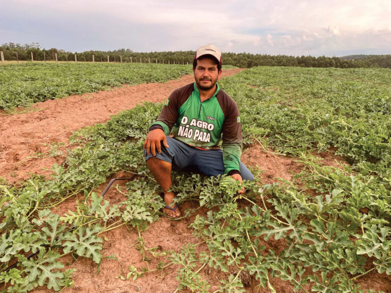 Associado investe na Irrigação para garantir altas produtividades na Cultura da Melancia